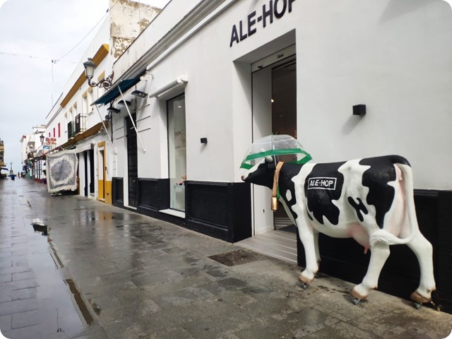 Zdjęcie WhatsApp 2024-10-31 o 18.37.35_24d971af