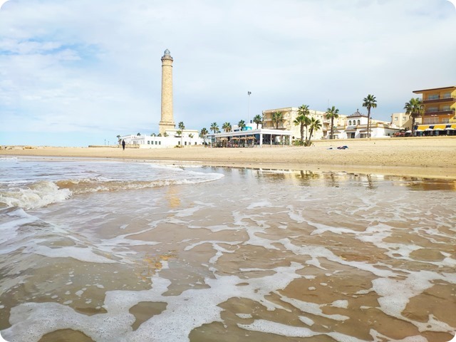 Zdjęcie WhatsApp 2024-10-31 o 18.45.17_5e520446