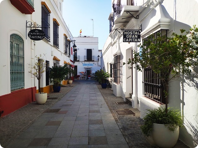 Zdjęcie WhatsApp 2024-10-31 o 18.47.37_273da9ad