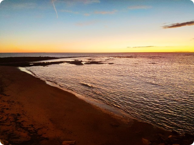 Zdjęcie WhatsApp 2024-10-31 o 18.50.59_ed2d2518