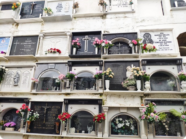 Zdjęcie WhatsApp 2024-10-31 o 18.54.29_1ffcc45a