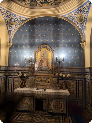 PXL_20241031_214603896.MP