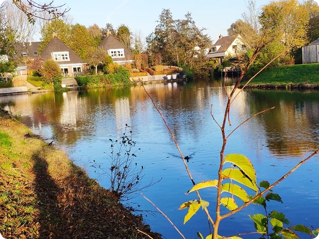 Zdjęcie WhatsApp 2024-11-05 o 21.54.53_78ad23a9