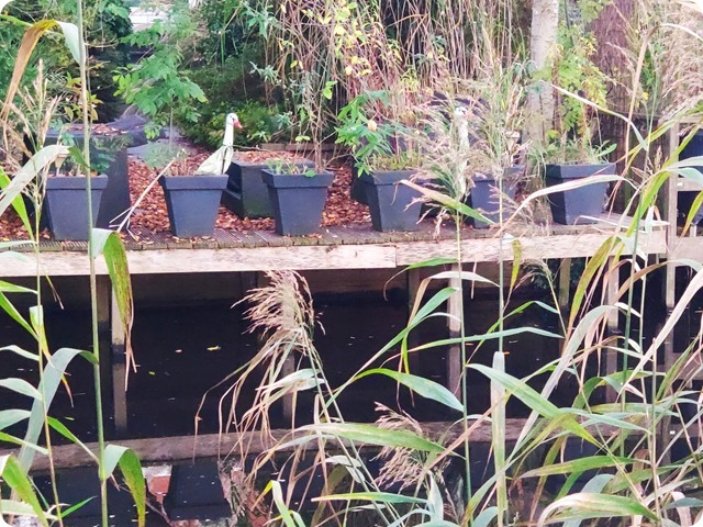 Zdjęcie WhatsApp 2024-11-05 o 21.55.53_25f305eb