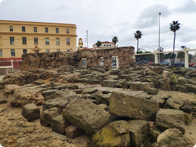 Zdjęcie WhatsApp 2024-11-15 o 21.08.28_1ea4d2e2