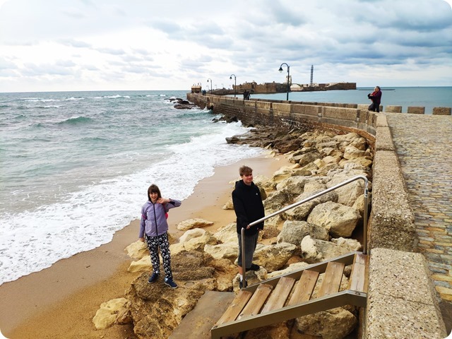 Zdjęcie WhatsApp 2024-11-15 o 21.16.05_a1531e7b