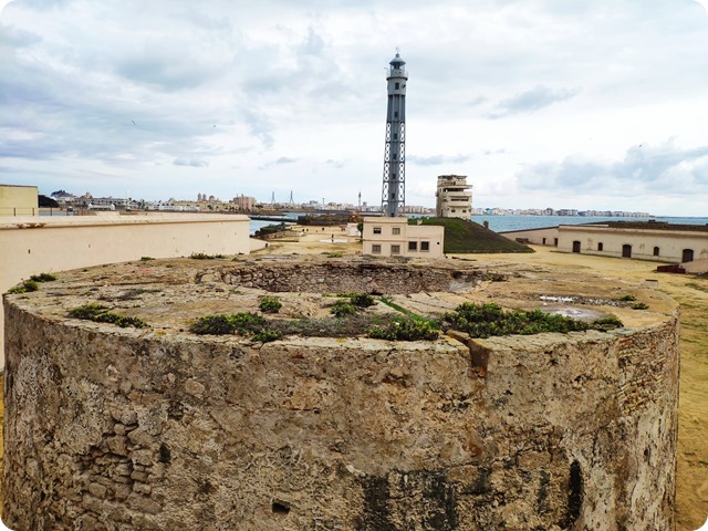 Zdjęcie WhatsApp 2024-11-15 o 21.16.42_dfcacf50