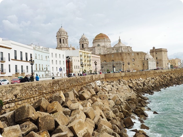 Zdjęcie WhatsApp 2024-11-15 o 21.19.02_6dc5fd26