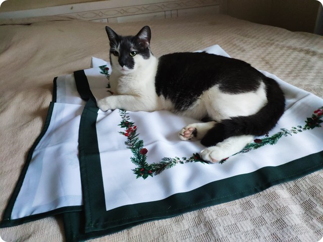 Zdjęcie WhatsApp 2024-12-23 o 22.56.33_9af66603