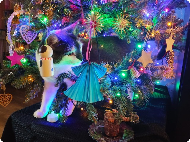 Zdjęcie WhatsApp 2025-01-09 o 21.40.39_f2a2e37e