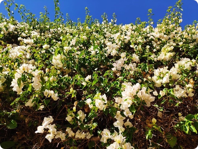 Zdjęcie WhatsApp 2025-02-26 o 14.49.55_ebbc151a