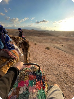 WhatsApp Image 2025-02-19 at 22.16.00_376d72c9