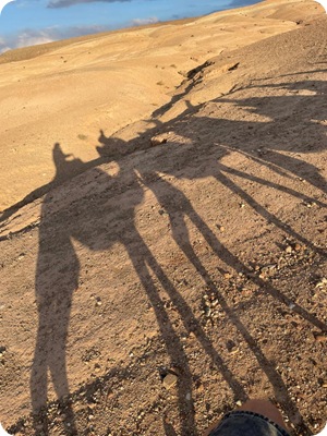 WhatsApp Image 2025-03-18 at 18.36.01_d637da4c