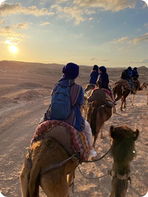 WhatsApp Image 2025-03-18 at 18.43.20_2f57f0db