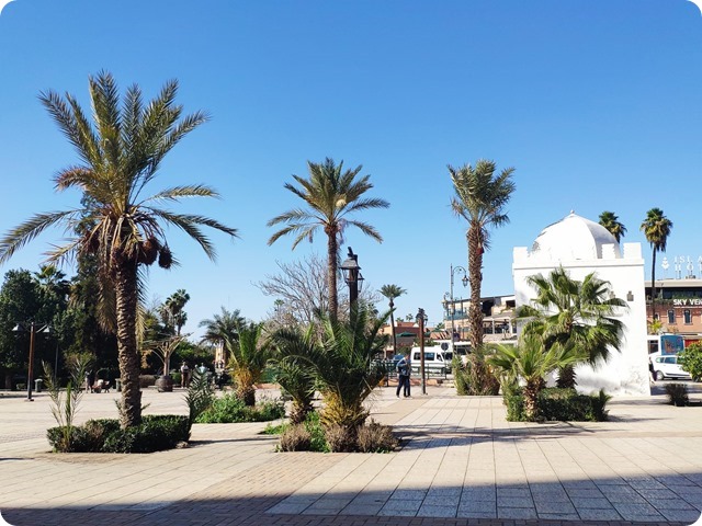 Zdjęcie WhatsApp 2025-03-04 o 21.02.31_fa8d8312