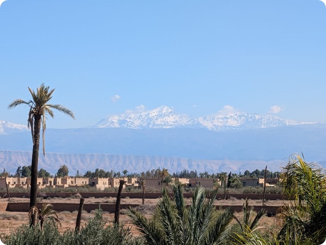 Zdjęcie WhatsApp 2025-03-04 o 21.23.09_cc3a04bb