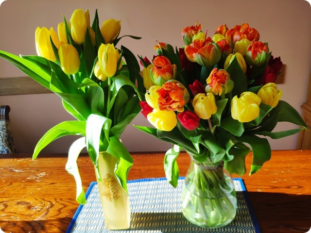 Zdjęcie WhatsApp 2025-03-09 o 18.50.49_f7a90537