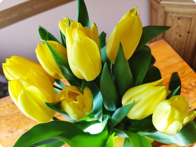 Zdjęcie WhatsApp 2025-03-09 o 18.51.15_fda4918b