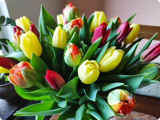 Zdjęcie WhatsApp 2025-03-09 o 18.52.05_a0e8f57c