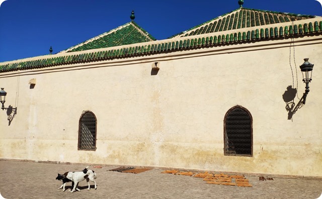 Zdjęcie WhatsApp 2025-03-13 o 20.36.56_d778f14f