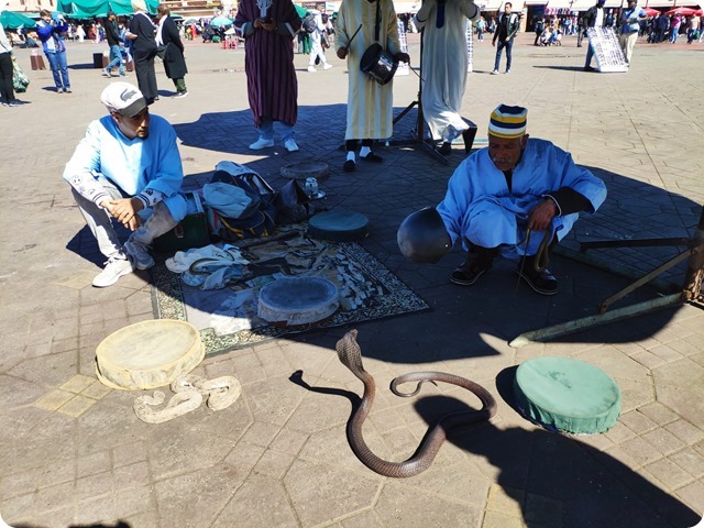 Zdjęcie WhatsApp 2025-03-13 o 20.38.38_b3bb2739