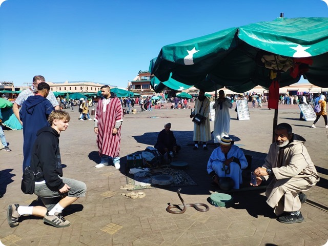 Zdjęcie WhatsApp 2025-03-13 o 20.39.25_aa3a1a56