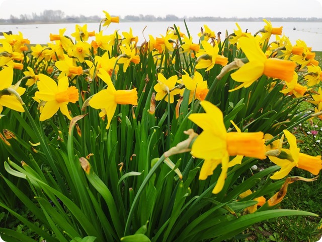 Zdjęcie WhatsApp 2025-03-26 o 17.07.09_2db67294