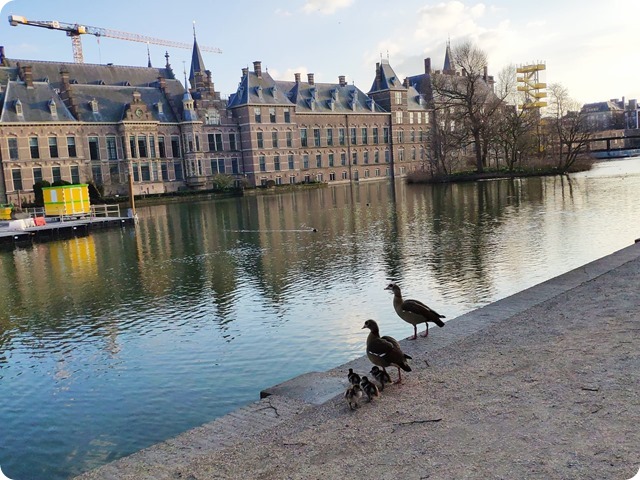 Zdjęcie WhatsApp 2025-03-26 o 17.09.34_e3b94a0f