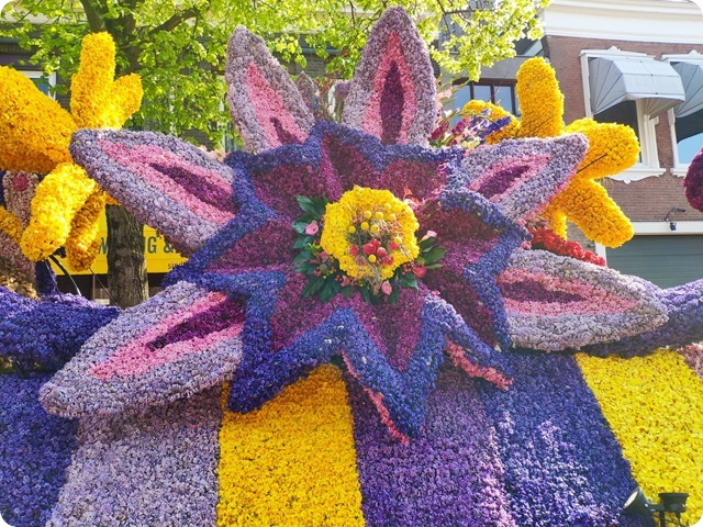 Zdjęcie WhatsApp 2025-04-15 o 19.46.04_9f79e553