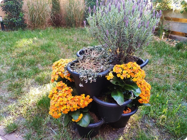 Zdjęcie WhatsApp 2025-05-15 o 22.36.54_4724b61a