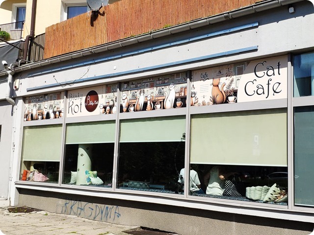 Zdjęcie WhatsApp 2025-06-18 o 19.34.39_76ece194