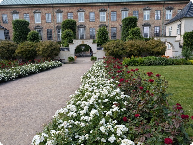 PXL_20250628_142125874.MP