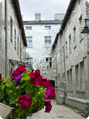 WhatsApp Image 2025-07-28 at 11.16.16_ded38338