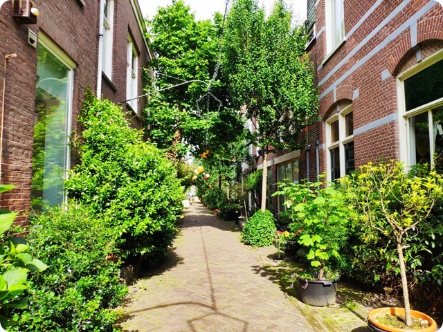 Zdjęcie WhatsApp 2025-07-05 o 17.31.20_f55b3489