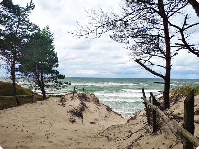 Zdjęcie WhatsApp 2025-08-27 o 16.41.20_053e1394