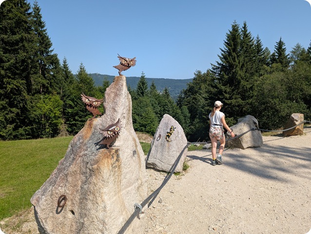 PXL_20250814_095405691.MP