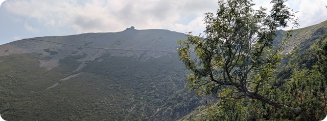 PXL_20250816_102934887