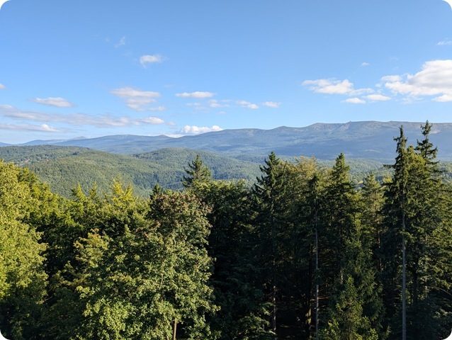 PXL_20250817_150522066