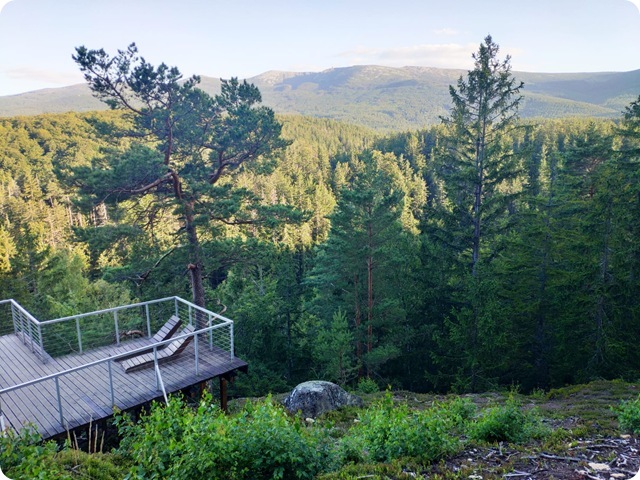 Zdjęcie WhatsApp 2025-09-01 o 19.52.13_13bb3cf3