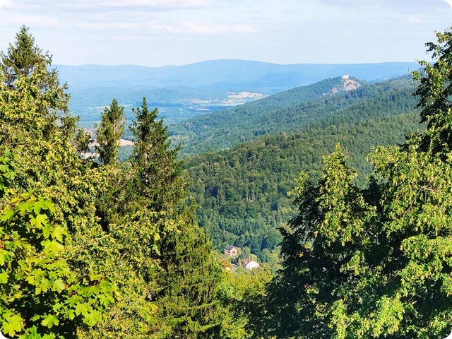 Zdjęcie WhatsApp 2025-09-01 o 20.22.43_13b0cd3a