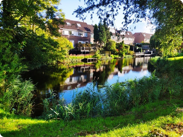 Zdjęcie WhatsApp 2025-09-28 o 15.00.25_987cfb61