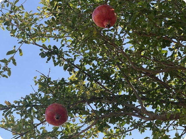 0b083111-8fef-48ed-94f4-e24ed61acbb8