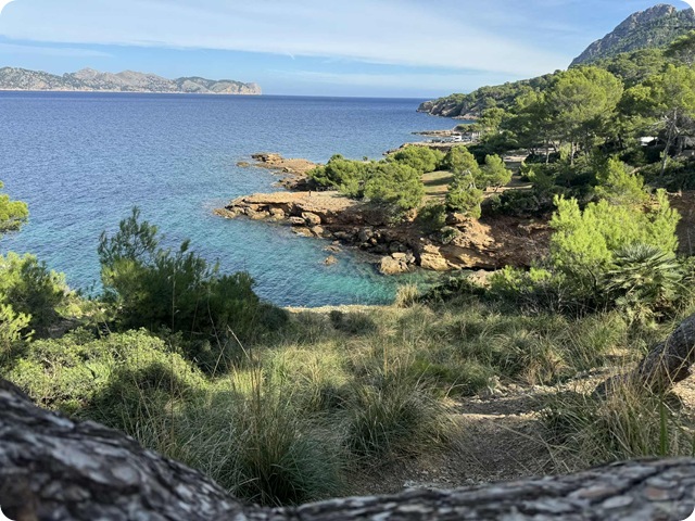 5b1999f8-5460-4353-8b02-37a0bab33e6a