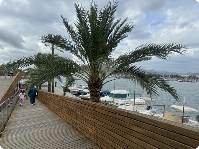 e590f5a2-832e-47a7-b4d7-36887d231a6d