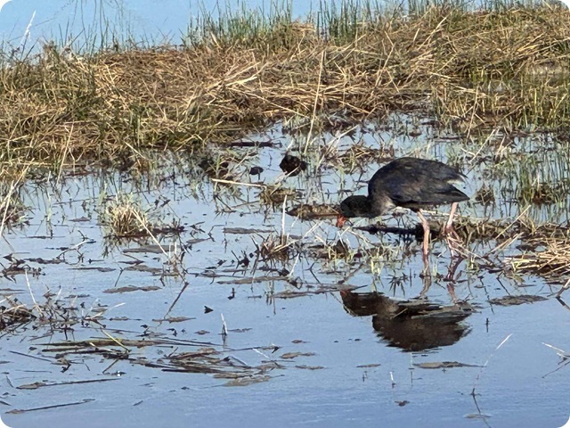 0221a865-0cfb-465b-89a6-9ff9d55a2208