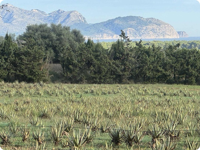 192849fa-f249-45e0-809e-273d8d39cb7b