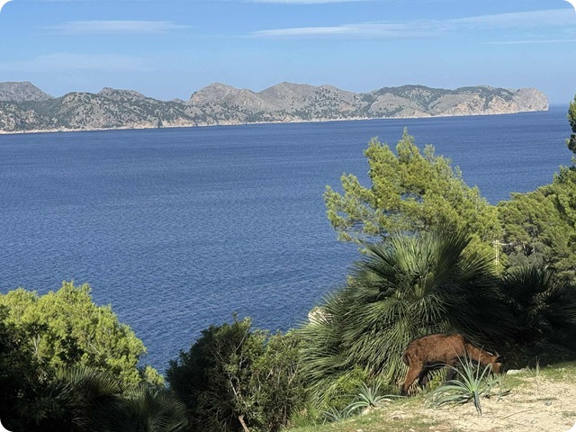 34b71dac-575e-4636-811f-61824a775a4f