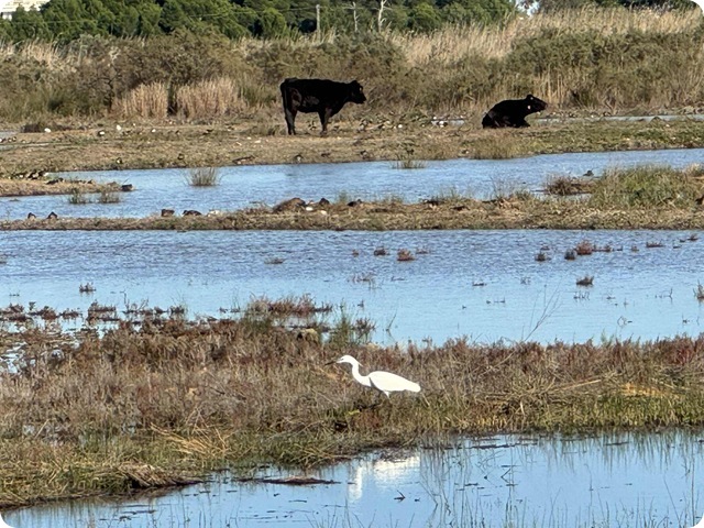 84dd7ee7-9066-47e0-a5ca-d0bdaf154366