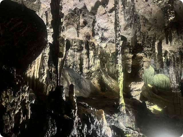 8fd08639-f953-481f-9ac8-b72cfae8c495