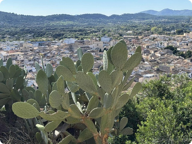 bb4300ba-a35f-4b47-9e74-98f1d88bc24d